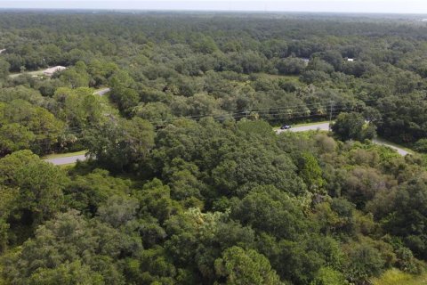 Land in Port Charlotte, Florida № 2165245 - photo 23