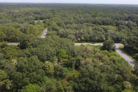 Land in Port Charlotte, Florida № 2165245 - photo 24