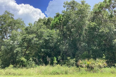 Land in Port Charlotte, Florida № 2165245 - photo 6