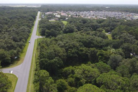 Land in Port Charlotte, Florida № 2165245 - photo 21