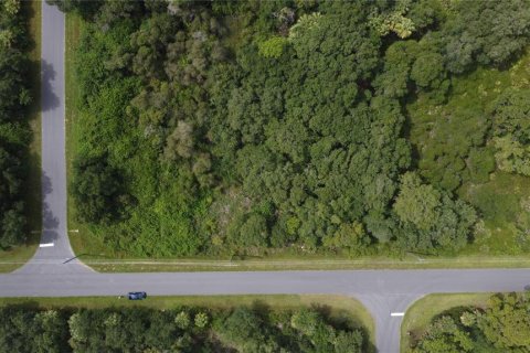 Land in Port Charlotte, Florida № 2165245 - photo 10