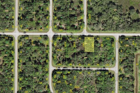 Land in Port Charlotte, Florida № 2165245 - photo 8