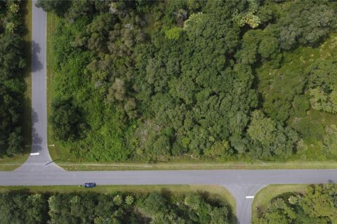 Land in Port Charlotte, Florida № 2165245 - photo 7