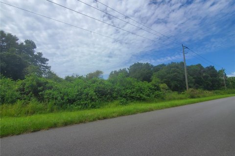 Land in Port Charlotte, Florida № 2165245 - photo 11