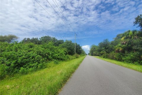 Land in Port Charlotte, Florida № 2165245 - photo 2