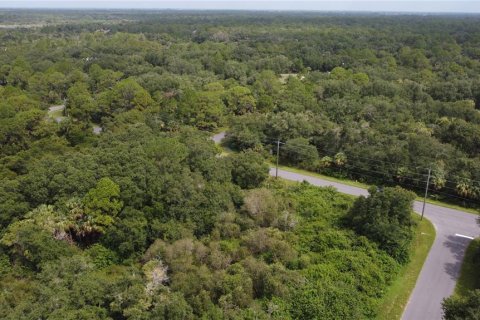 Land in Port Charlotte, Florida № 2165245 - photo 27