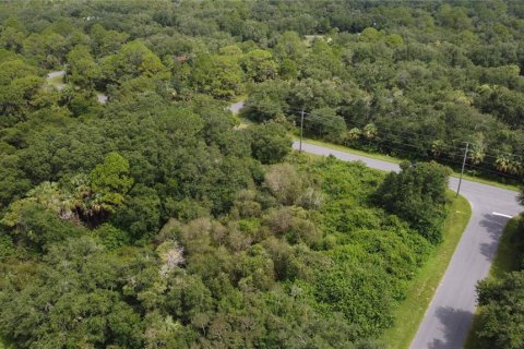 Land in Port Charlotte, Florida № 2165245 - photo 25