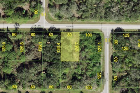 Land in Port Charlotte, Florida № 2165245 - photo 9