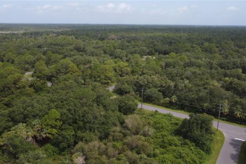 Land in Port Charlotte, Florida № 2165245 - photo 26