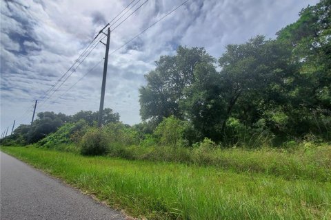 Land in Port Charlotte, Florida № 2165245 - photo 12