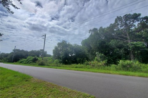 Land in Port Charlotte, Florida № 2165245 - photo 16