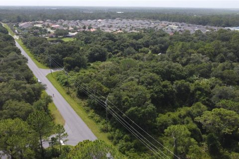 Land in Port Charlotte, Florida № 2165245 - photo 20