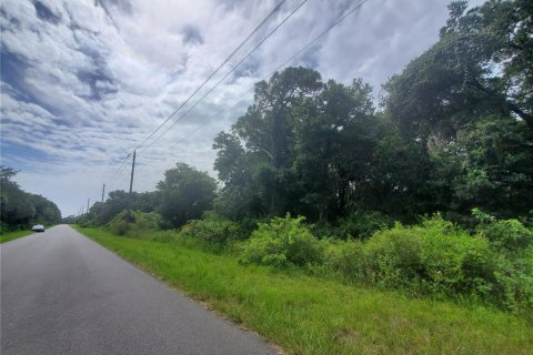 Land in Port Charlotte, Florida № 2165245 - photo 5
