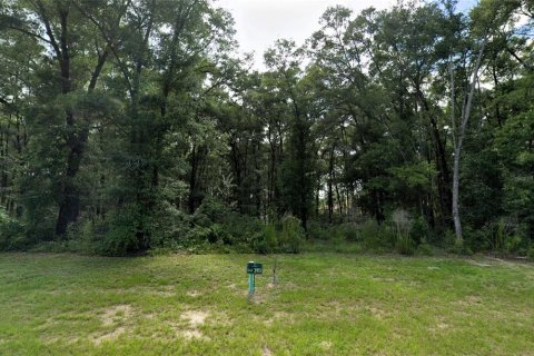 Terrain à vendre à Gainesville, Floride № 1784409 - photo 2