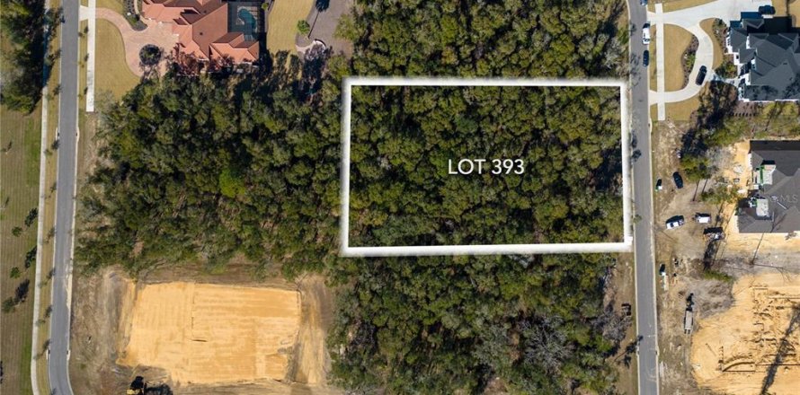 Terrain à Gainesville, Floride № 1784409