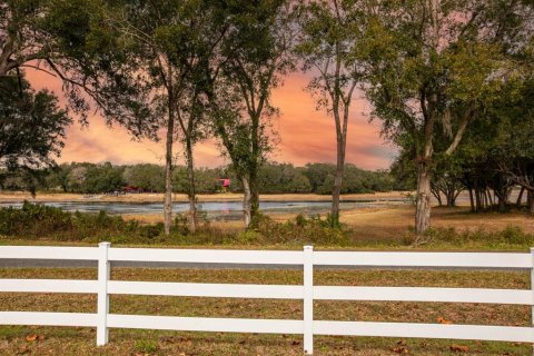 Land in Weirsdale, Florida № 2108104 - photo 3