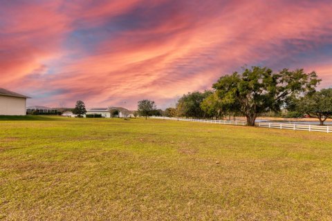 Land in Weirsdale, Florida № 2108104 - photo 5