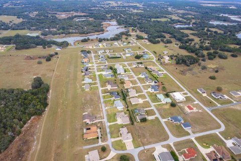 Land in Weirsdale, Florida № 2108104 - photo 4
