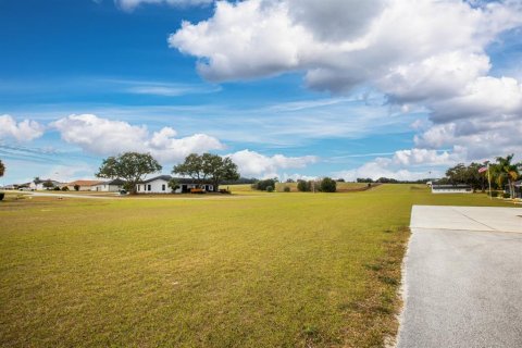 Land in Weirsdale, Florida № 2108104 - photo 18
