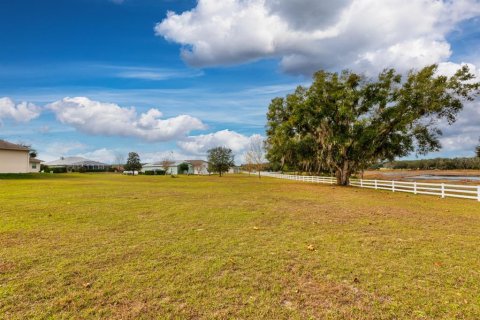 Land in Weirsdale, Florida № 2108104 - photo 14