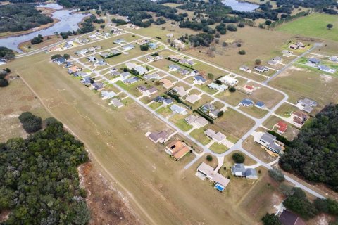 Land in Weirsdale, Florida № 2108104 - photo 30