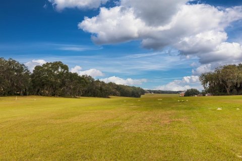 Land in Weirsdale, Florida № 2108104 - photo 10
