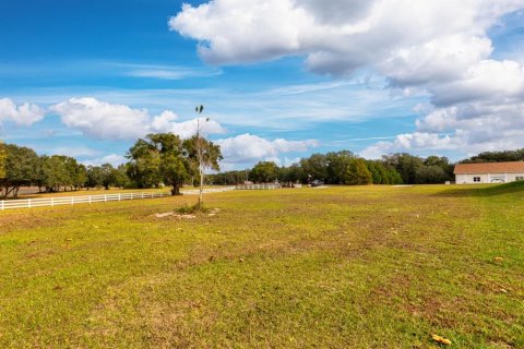 Land in Weirsdale, Florida № 2108104 - photo 8