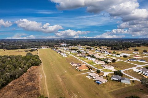 Land in Weirsdale, Florida № 2108104 - photo 26