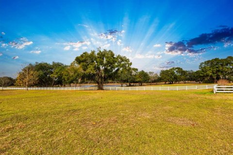 Land in Weirsdale, Florida № 2108104 - photo 6