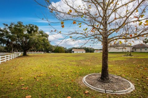 Land in Weirsdale, Florida № 2108104 - photo 9