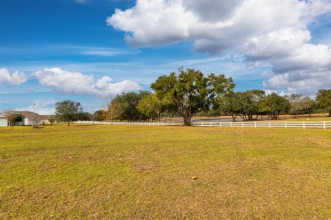 Land in Weirsdale, Florida № 2108104 - photo 7