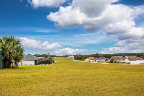 Land in Weirsdale, Florida № 2108104 - photo 21