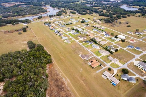 Land in Weirsdale, Florida № 2108104 - photo 29