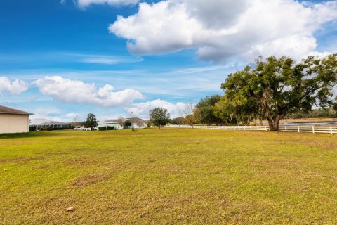 Land in Weirsdale, Florida № 2108104 - photo 15