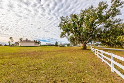 Land in Weirsdale, Florida № 2108104 - photo 12