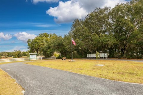 Land in Weirsdale, Florida № 2108104 - photo 16