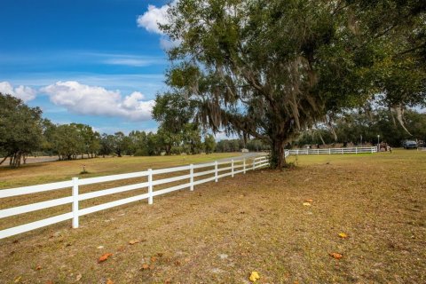 Land in Weirsdale, Florida № 2108104 - photo 11