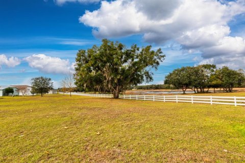 Land in Weirsdale, Florida № 2108104 - photo 13