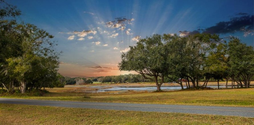 Land in Weirsdale, Florida № 2108104
