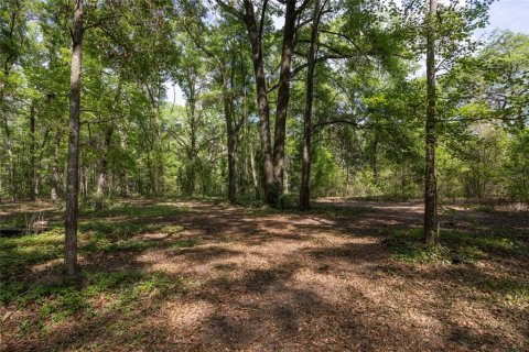 Land in Alachua, Florida № 1550805 - photo 11