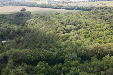Land in Alachua, Florida № 1550805 - photo 28