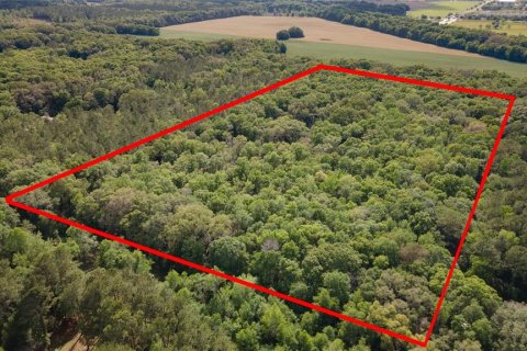 Land in Alachua, Florida № 1550805 - photo 2