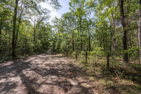 Land in Alachua, Florida № 1550805 - photo 24