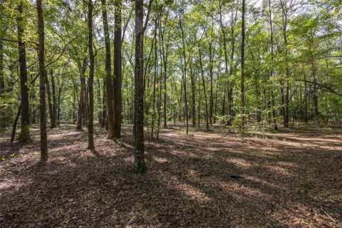 Land in Alachua, Florida № 1550805 - photo 8