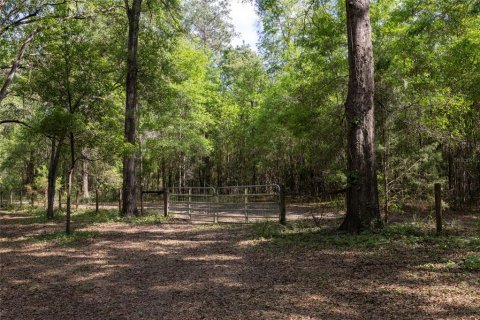 Land in Alachua, Florida № 1550805 - photo 19