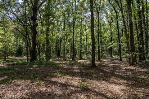 Land in Alachua, Florida № 1550805 - photo 9