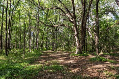 Land in Alachua, Florida № 1550805 - photo 27