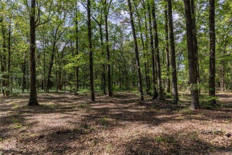 Land in Alachua, Florida № 1550805 - photo 10