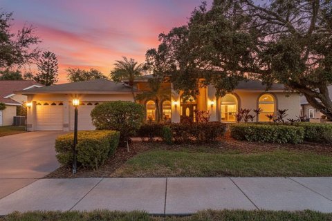 Casa en venta en Dunedin, Florida, 4 dormitorios, 283.44 m2 № 2209983 - foto 2