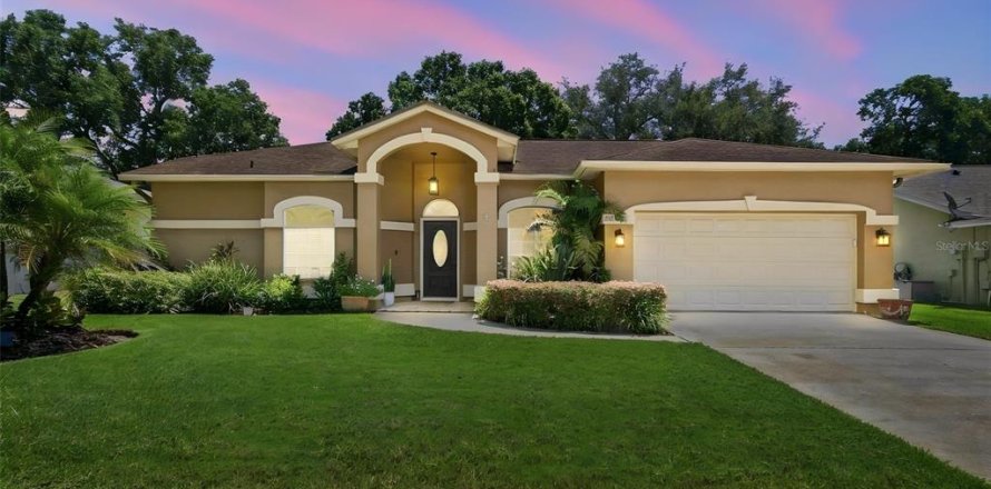 House in Lutz, Florida 3 bedrooms, 185.53 sq.m. № 2313408
